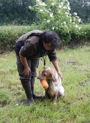 apportel_hund_feld_klein_moni