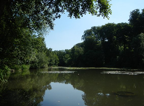 stimmung_wasser_klein